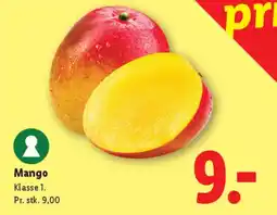 Lidl Vandmelon tilbud