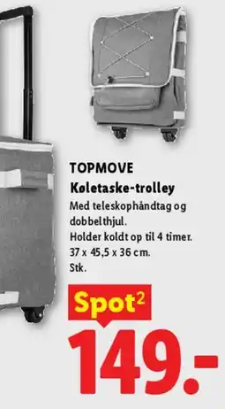 Lidl Sammenfoldelige opbevaringsbokse tilbud