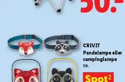 Lidl Nakkepude tilbud