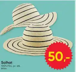 BigDollar Solhat tilbud