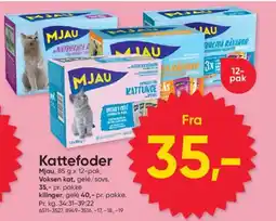 BigDollar Kattefoder tilbud