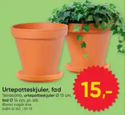 BigDollar Urtepotteskjuler, fad tilbud