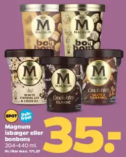 Netto Magnum is (isbæger / isbar / bonbons) tilbud