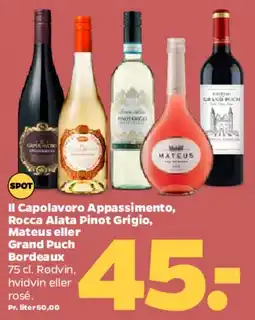 Netto Udvalgte flasker vin tilbud