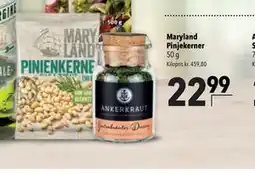 Citti Maryland Pinjekerner tilbud