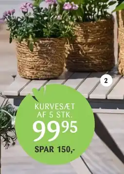 Kop & Kande Kurvesæt tilbud