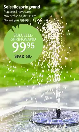 Kop & Kande Solcellespringvand tilbud