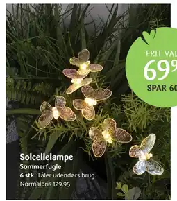 Kop & Kande Solcellelampe Sommerfugle tilbud