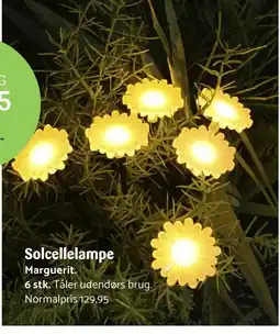 Kop & Kande Solcellelampe Marguerit tilbud