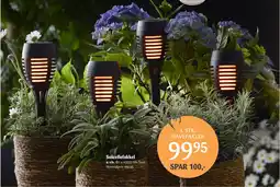 Kop & Kande Solcellefakkel tilbud