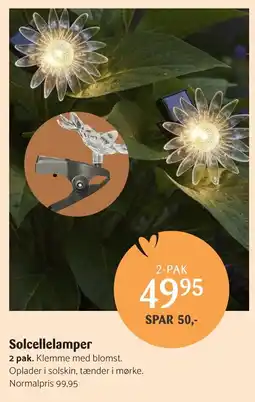 Kop & Kande Solcellelamper tilbud