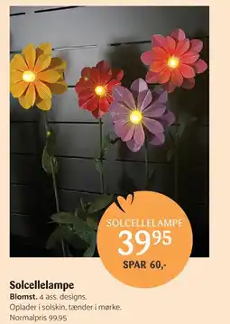 Kop & Kande Solcellelampe tilbud