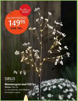 Kop & Kande Blomstergren med LED lys Michel tilbud