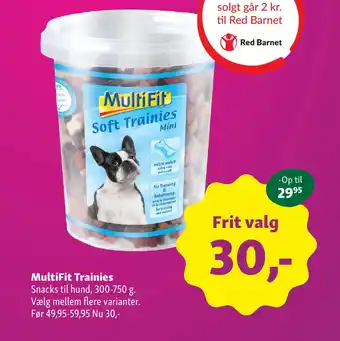 MULTIFIT Trainies