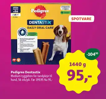 PEDIGREE Dentastix