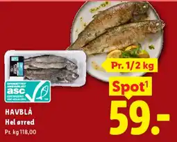 Lidl Hel ørred tilbud