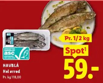 Lidl Hel ørred tilbud