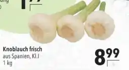 Citti Knoblauch frisch tilbud