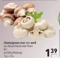 Citti Champignons rosé oder weiß tilbud