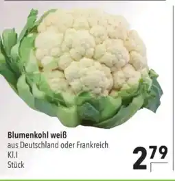 Citti Blumenkohl weiß tilbud