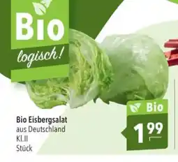 Citti Bio Eisbergsalat tilbud