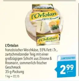 Citti L'Ortolan tilbud