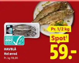 Lidl HAVBLÅ Hel ørred tilbud