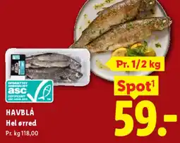 Lidl Grønne kernfri vindruer tilbud