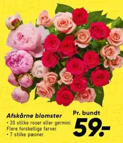 Bilka Afskårne blomster tilbud