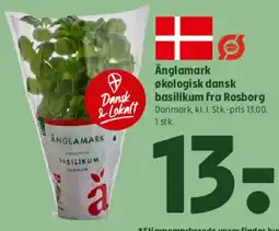 Coop 365 Ånglamark økologisk dansk basilikum fra Rosborg tilbud