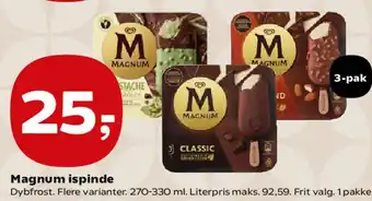 Magnum ispinde