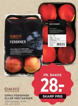 MENY OMHU ferskner eller nektariner tilbud