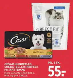 MENY Cesar / Sheba / Perfect Fit (foder) tilbud