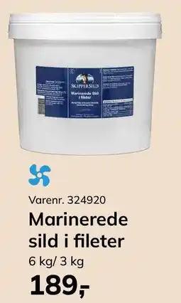 Dagrofa Food Service Marinerede sild i fileter tilbud