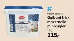 Dagrofa Food Service Galbani frisk mozzarella i minikugler tilbud
