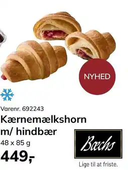 Dagrofa Food Service Kærnemælkshorn m/ hindbær tilbud
