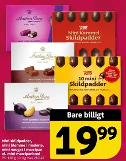 Løvbjerg Mini skildpadder, mini blomme i maderia, mini nougat i marcipan el. mini marcipanbrød tilbud