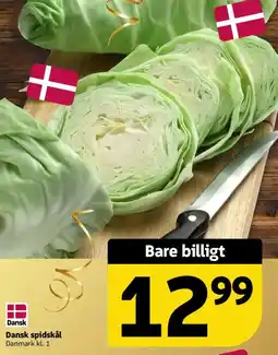 Løvbjerg Dansk Dansk spidskål tilbud