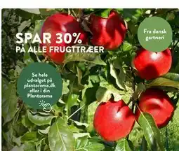 Plantorama SPAR 30% PÅ ALLE FRUGTTRÆER tilbud