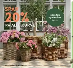 Plantorama SPAR 20% PÅ ALLE KURVE tilbud