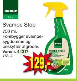 Harald Nyborg Svampe Stop tilbud