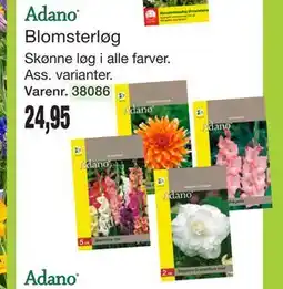 Harald Nyborg Blomsterløg tilbud
