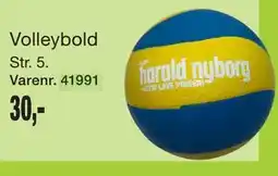 Harald Nyborg Volleybold tilbud