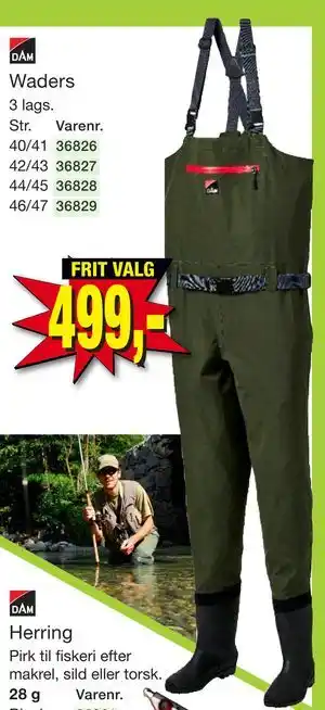 DAM Waders