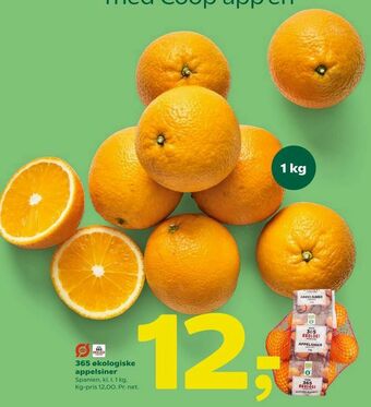 Coop 365 365 økologiske appelsiner tilbud