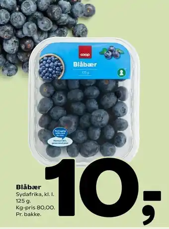 Blåbær