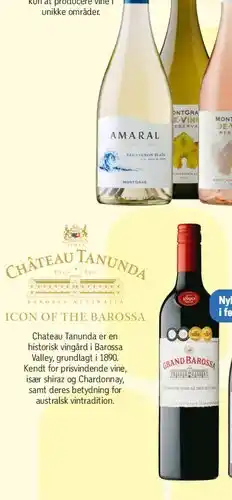 Føtex Bosio Barbaresco tilbud