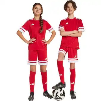 Sport 24 adidas Squadra 25 Træningsshorts Børn tilbud