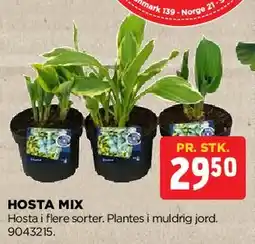 jem & fix Hosta Mix tilbud