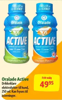 Maxi Zoo Oralade Active tilbud
